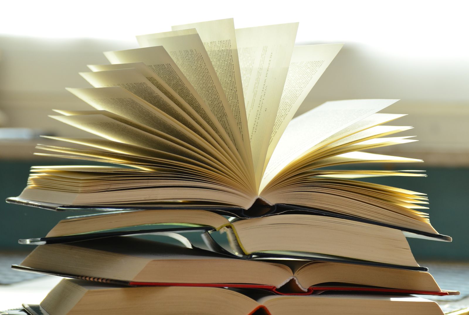 This year’s top reads and the accessories that make reading better