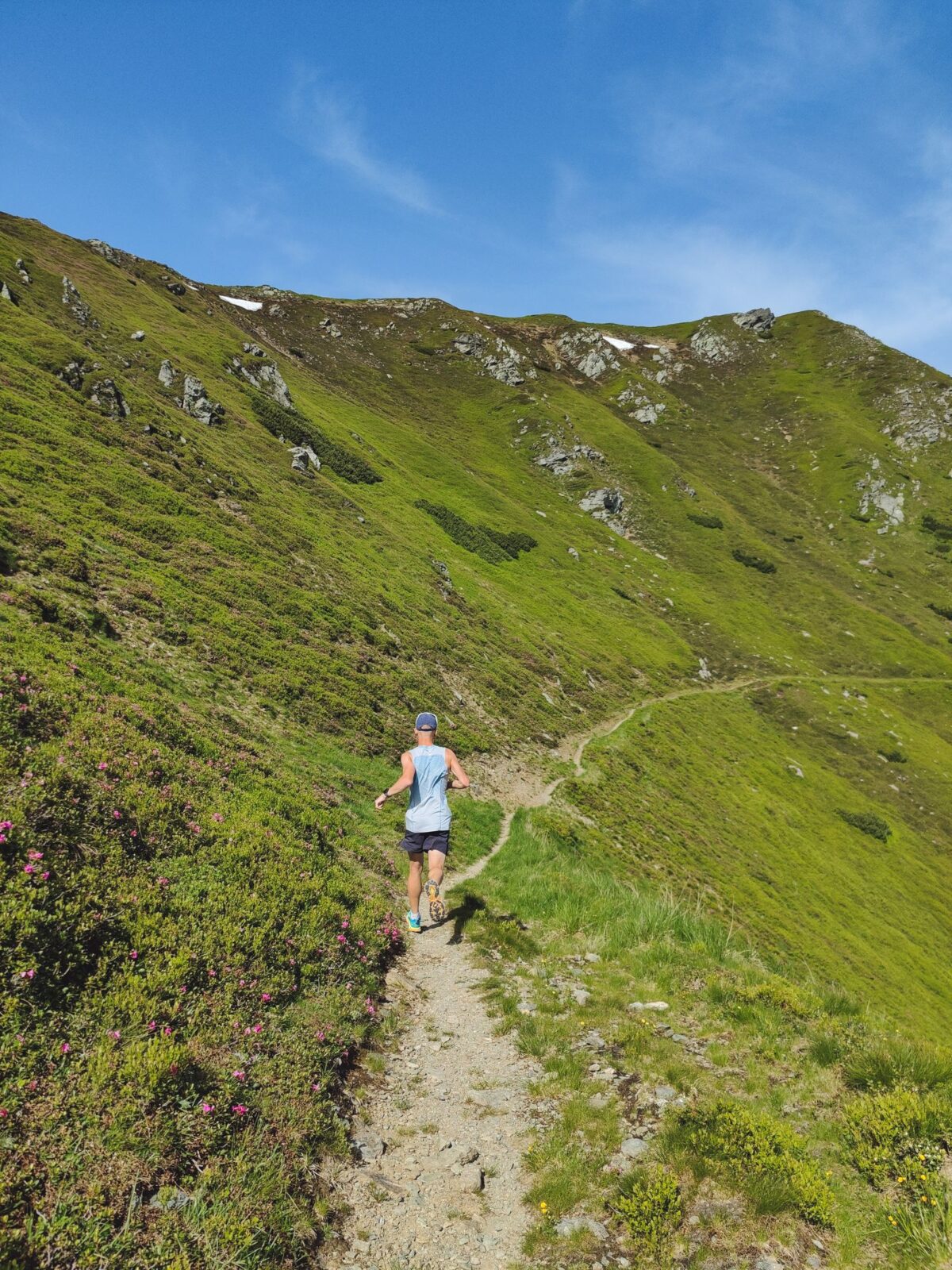 Trail runner moving through a green mountain landscape