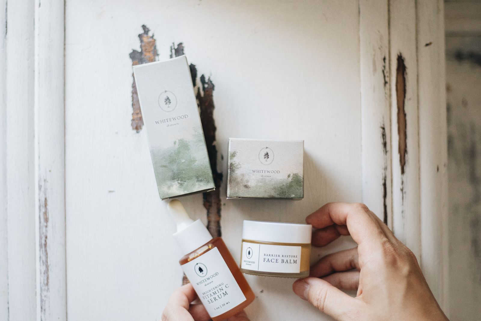 Deodorant sticks arranged with cedar, citrus, and botanical fragrance elements
