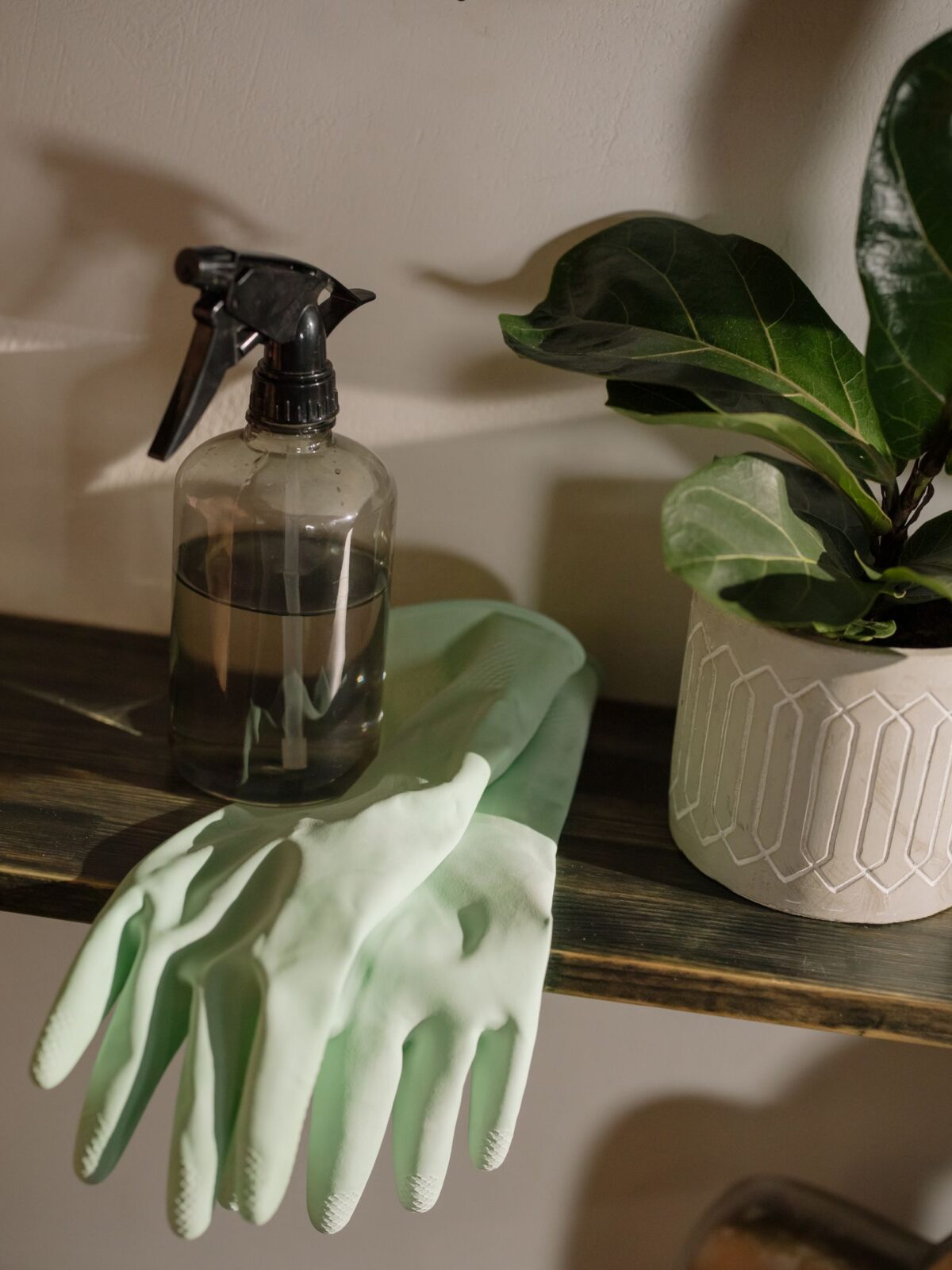 Best Enzyme Cleaners for Pet Stains and Odors in 2026: 5 Picks Compared