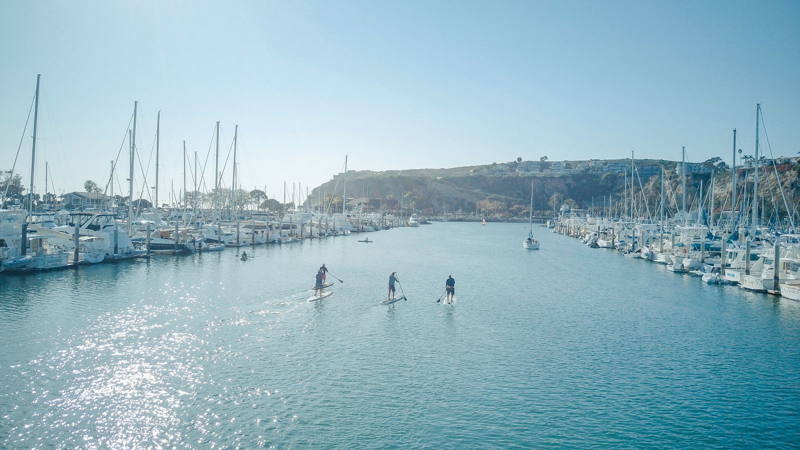 Four paddlers standing on stand-up paddle boards in a marina channel with docked boats on both sides