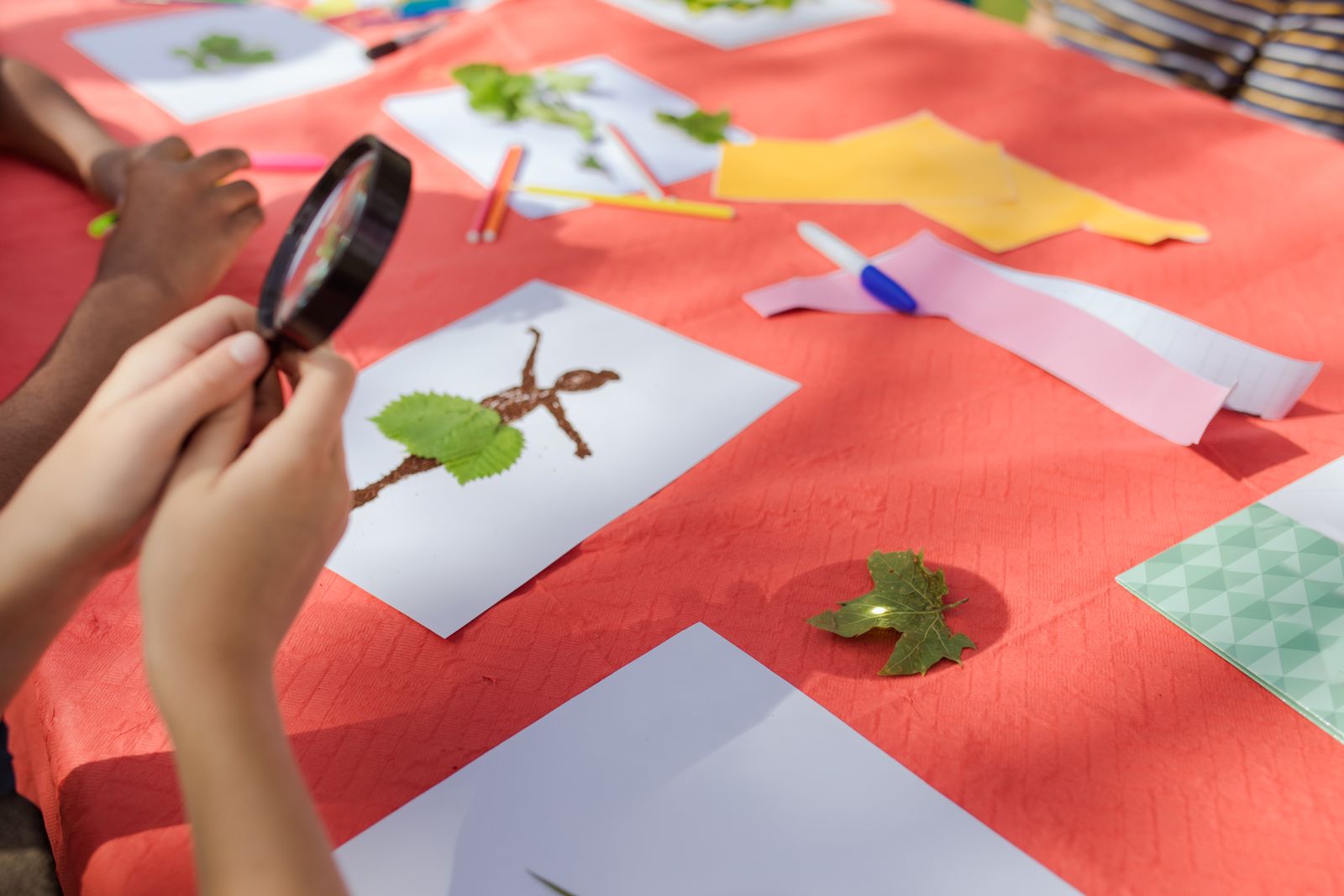 A young child using a magnifying glass to examine a leaf