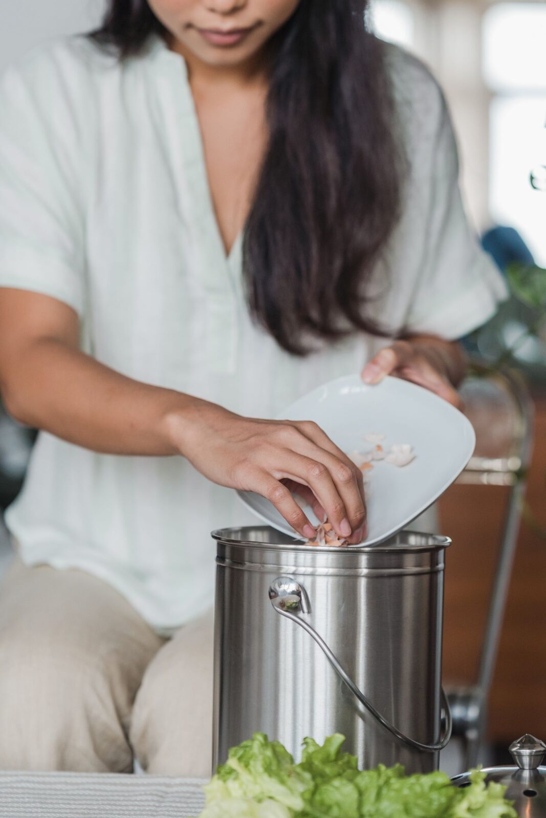 Best Compost Bin for Kitchen Counters, Four Picks Compared