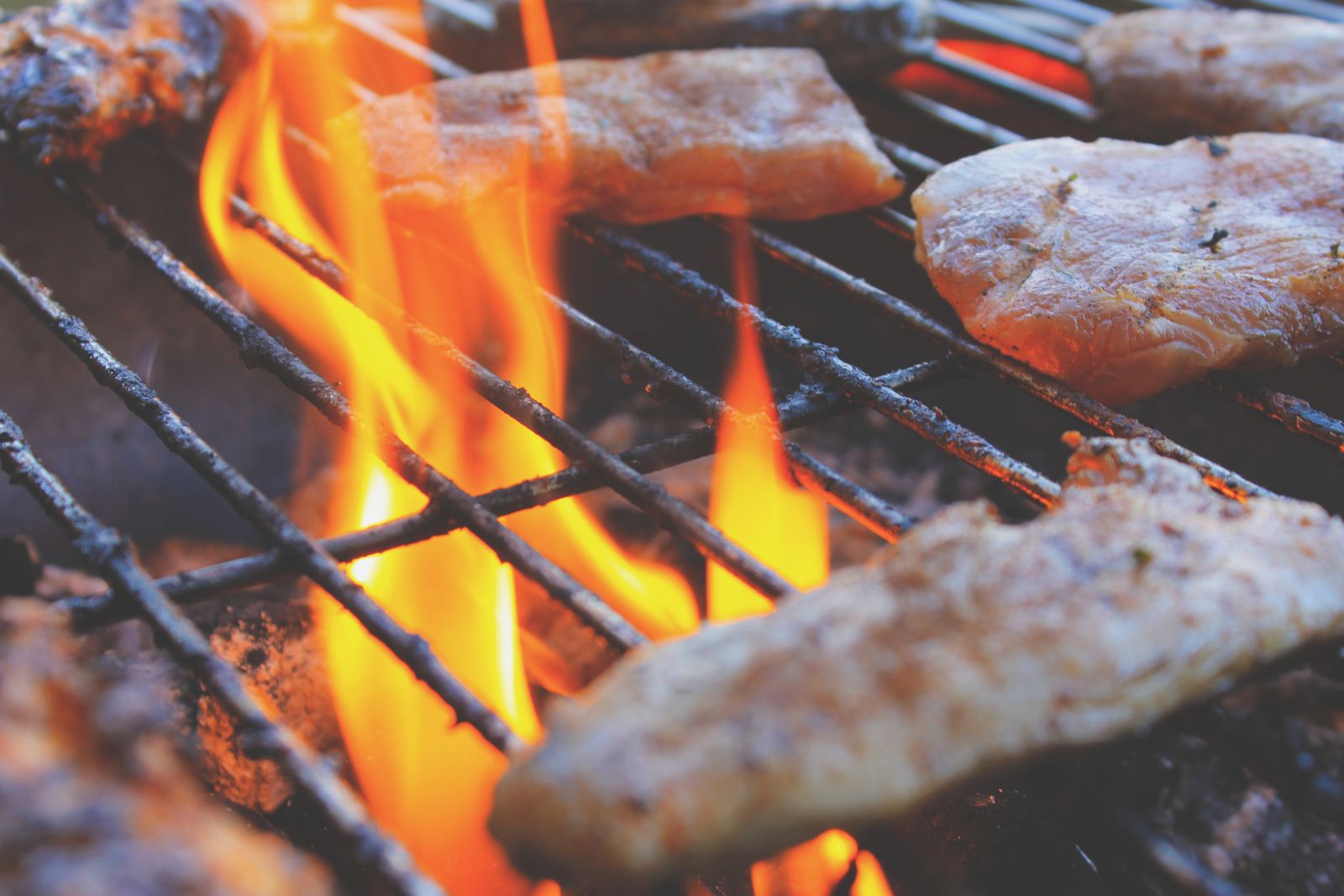 Close-up shot of meat cooking on skewers over glowing hot coals