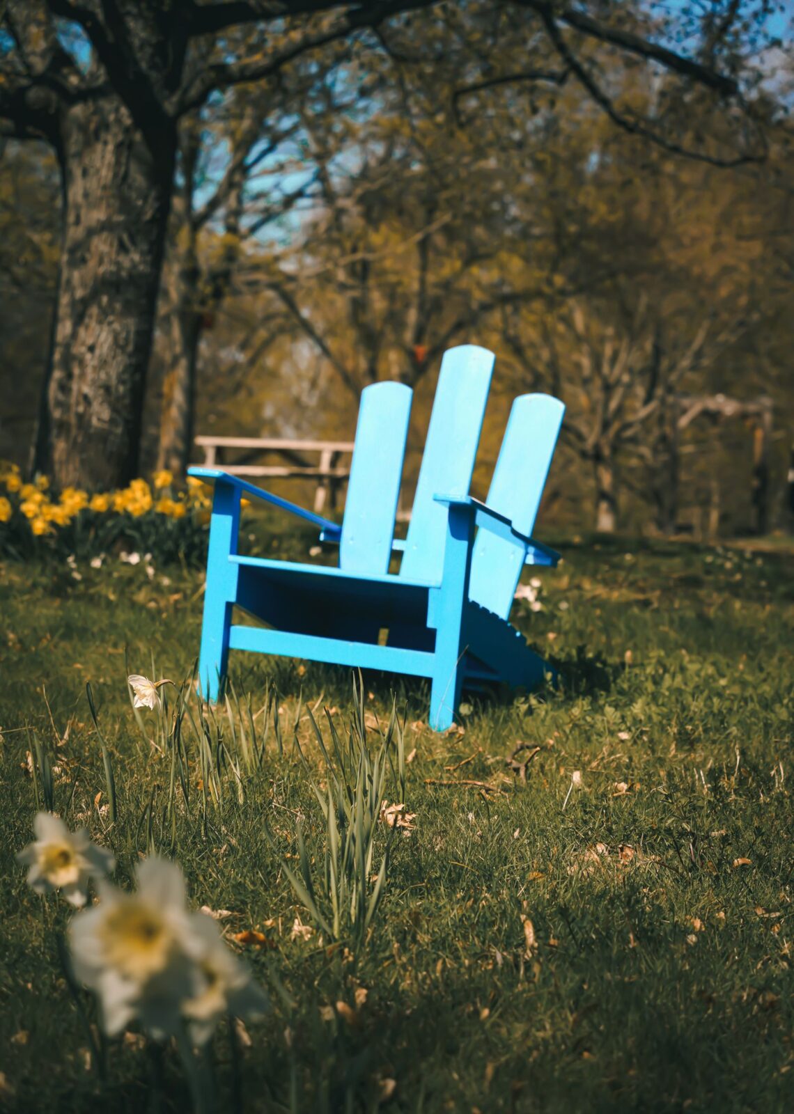 Best Adirondack Chairs for Backyards & Patios