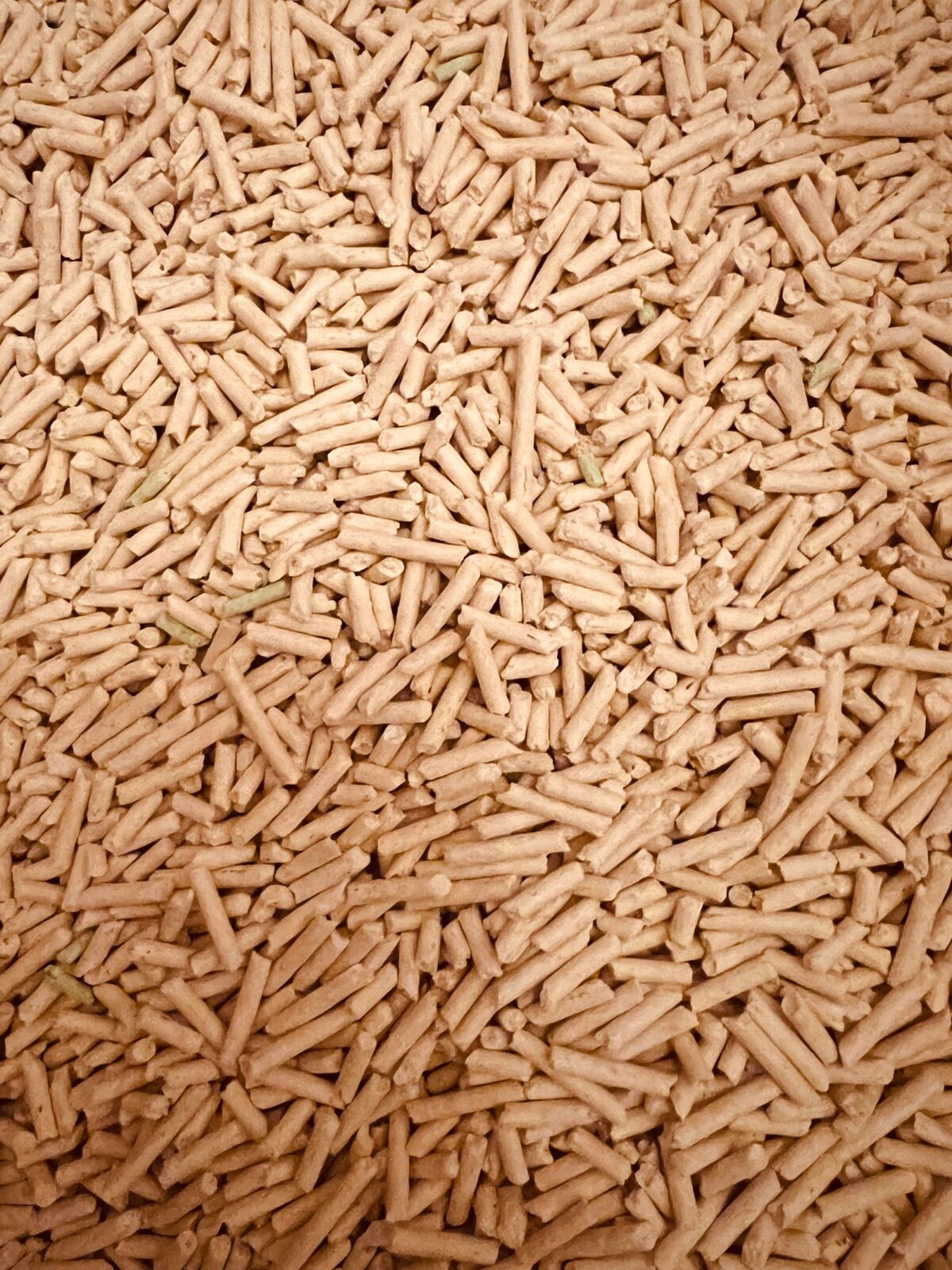 7 Wood Pellet Grills Worth Buying, and What Each One Costs to Feed