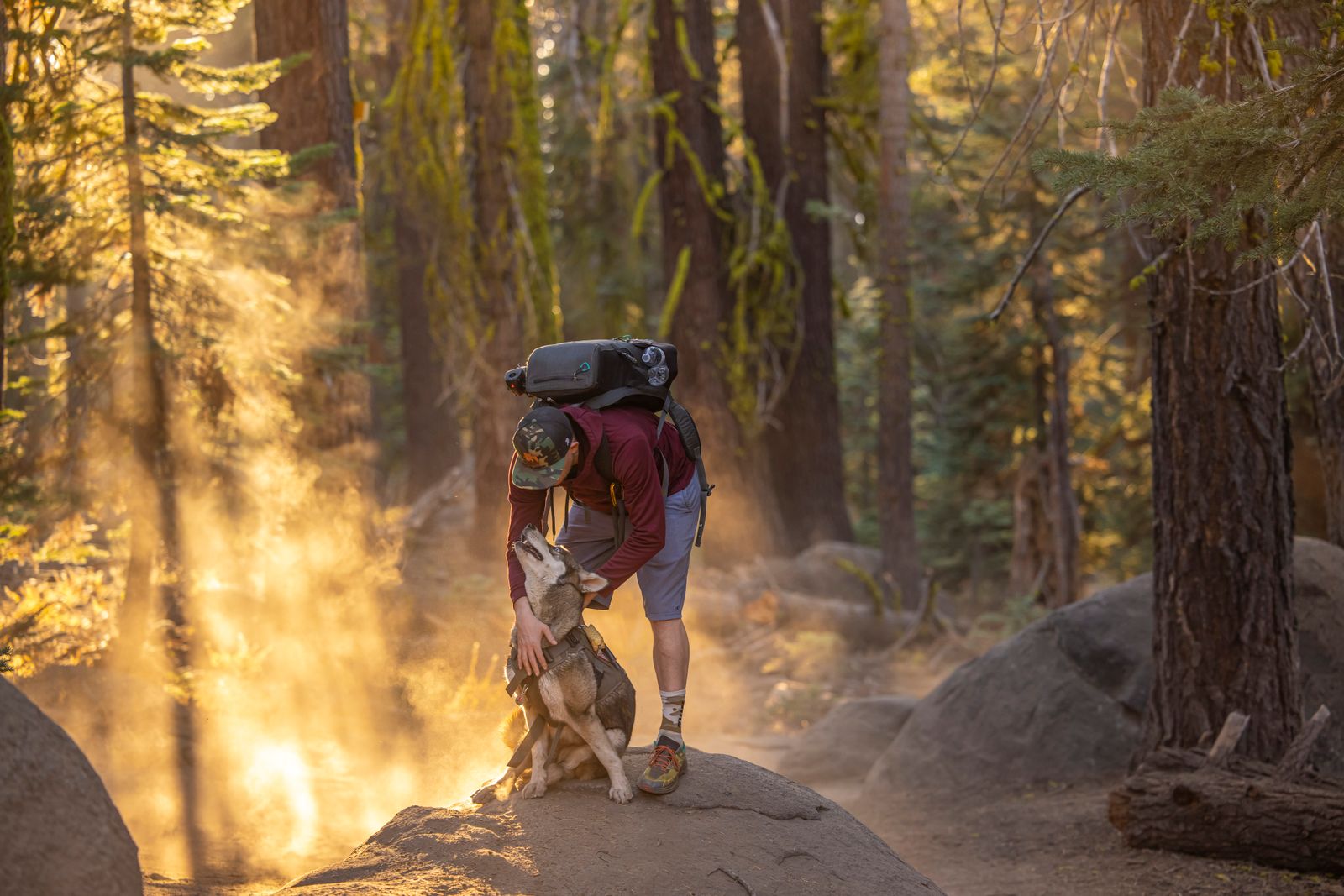 A hiker with a backpack crouches to embrace a dog on a sunlit forest trail