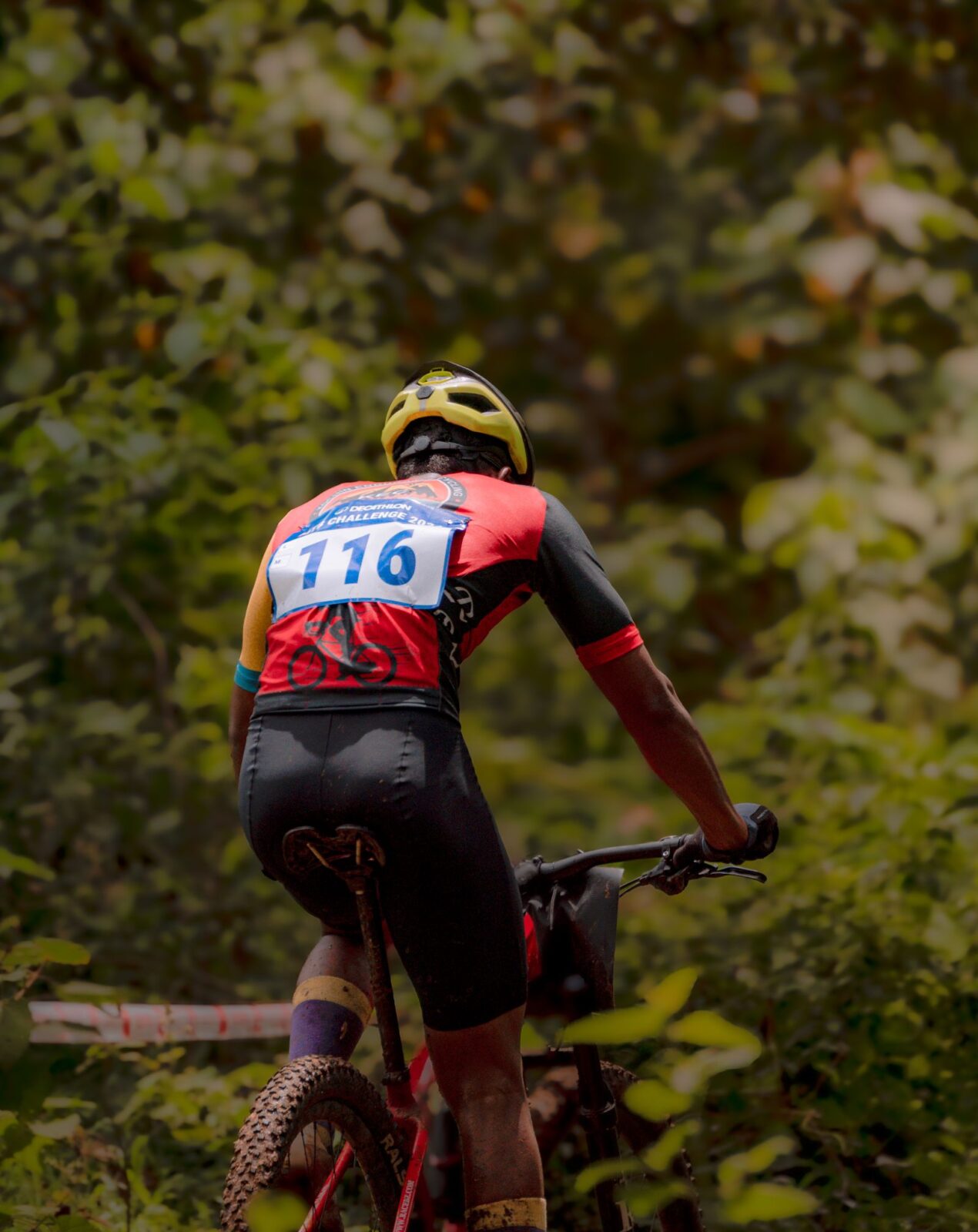 Mountain Bike Helmets Compared by Ventilation, Coverage, and Price