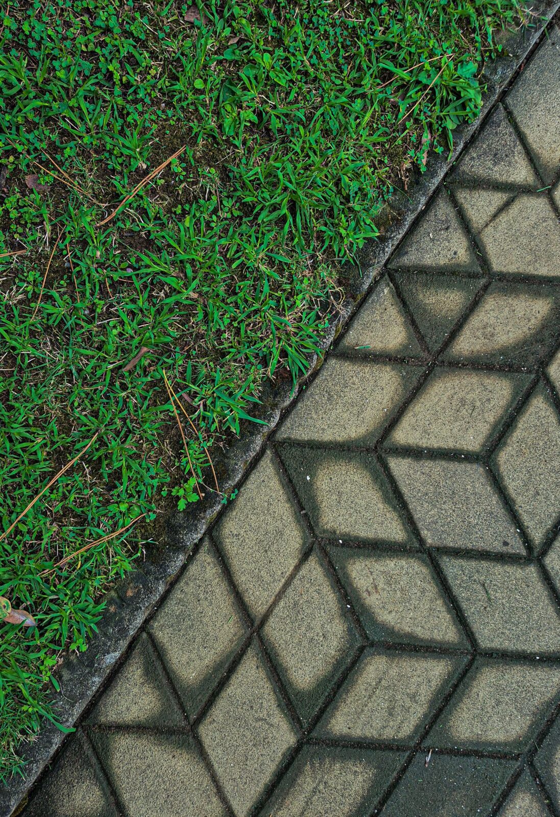 Clean grass edge meeting a paved sidewalk in a diagonal line