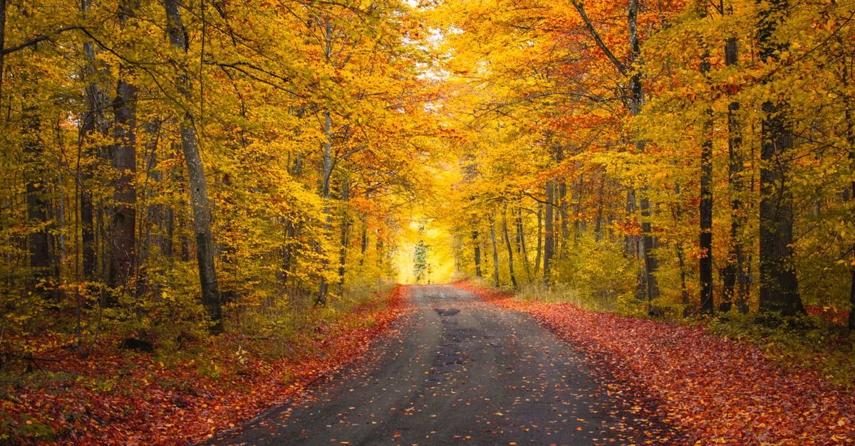 New England Fall Foliage Packing List: A Week-by-Week Guide