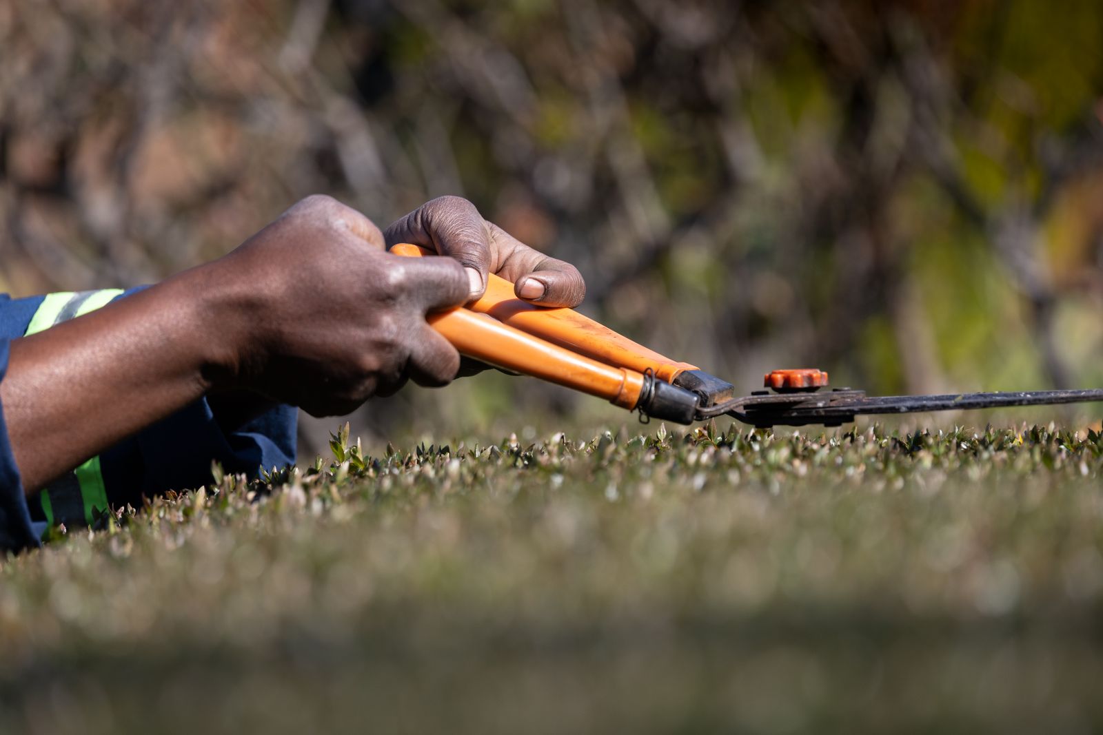 Pruning Shears: Who Sells the Blade When It Dulls?