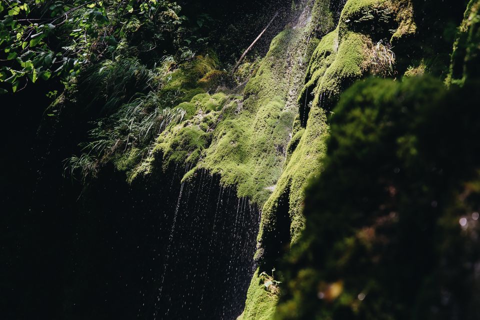 Waterfall cascading over moss-covered rocks in a lush green rainforest