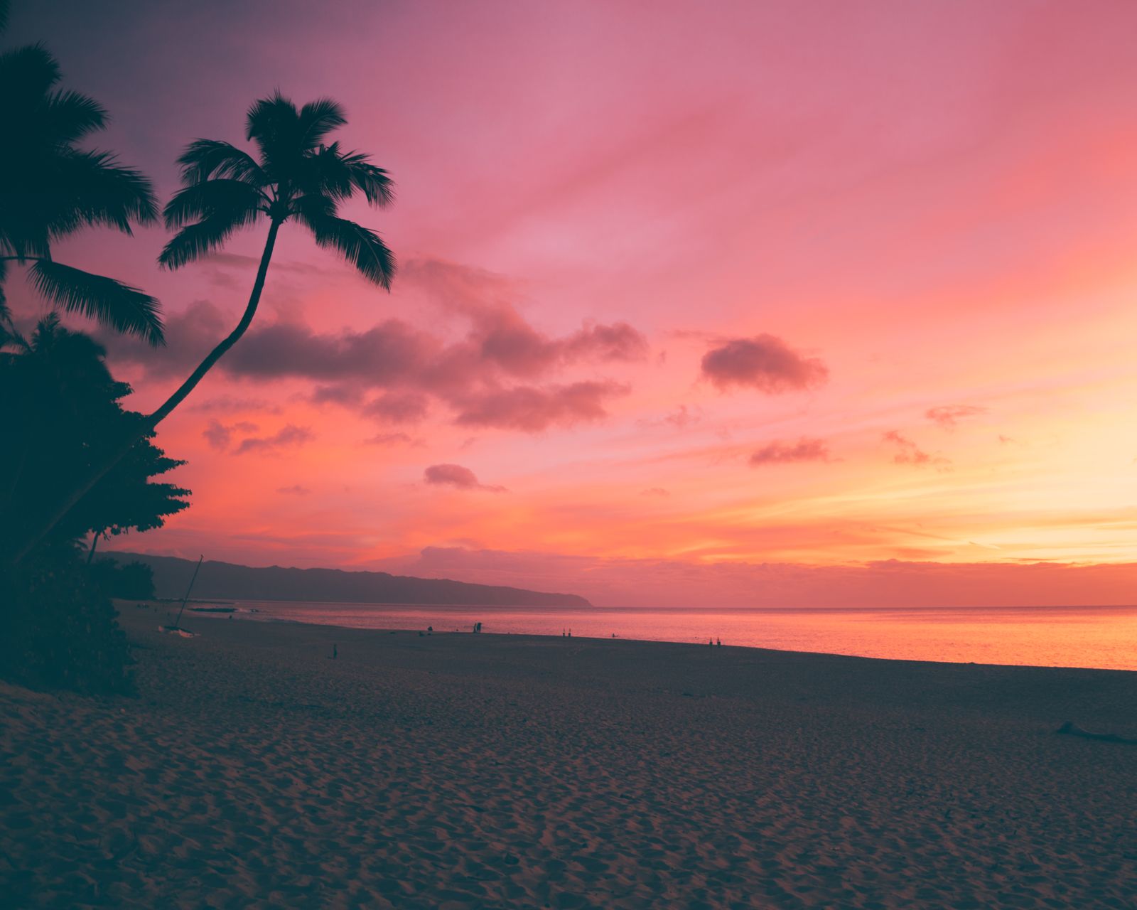 Palm trees silhouetted against a pink and gold sunset sky on an Oahu, Hawaii beach
