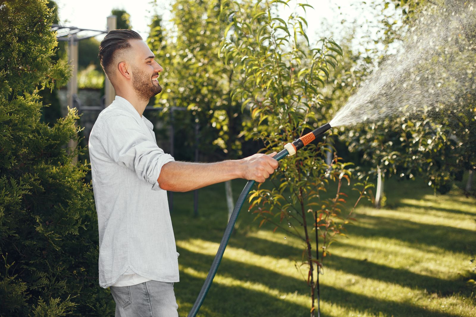 Best Garden Hose Reels for Every Yard
