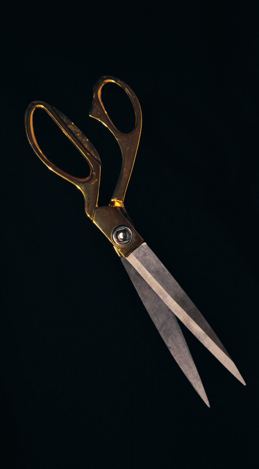 Best Kitchen Shears for Home Cooks
