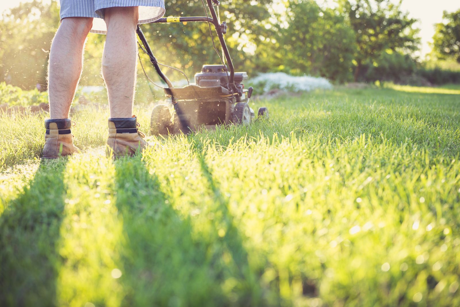 Person pushing a gas-powered lawn mower through long grass in a backyard