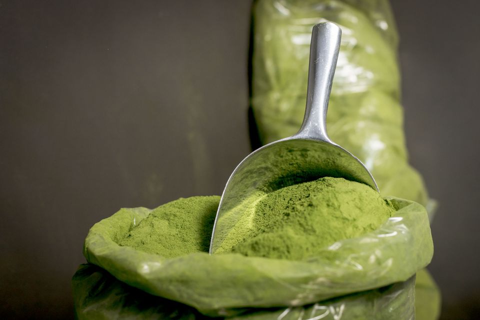 A scoop holding a fine powder supplement
