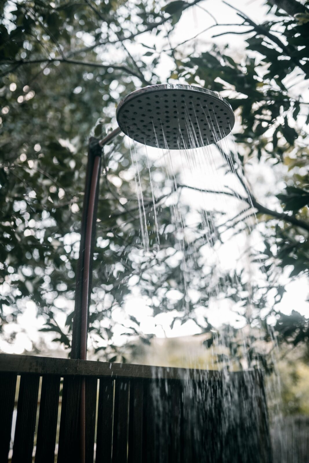Water flowing from an outdoor shower head surrounded by greenery
