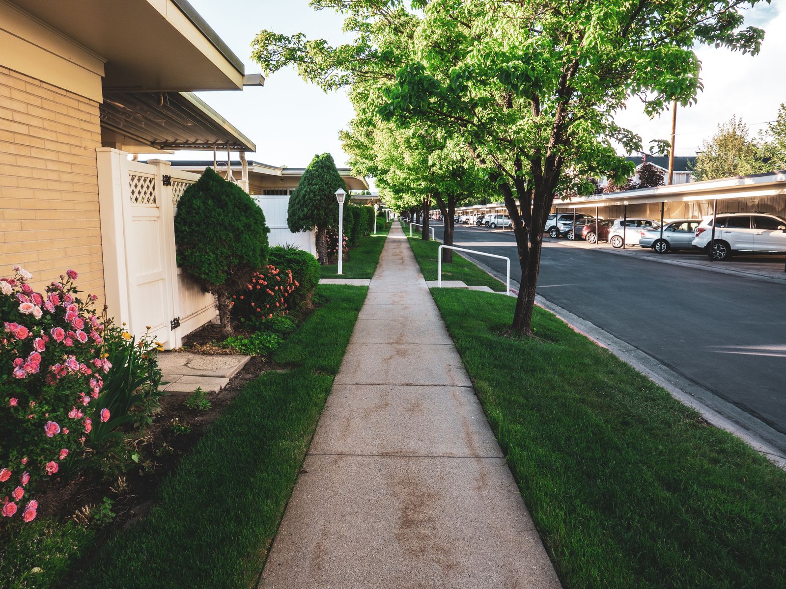 A paved walkway flanked by trimmed green lawn on both sides