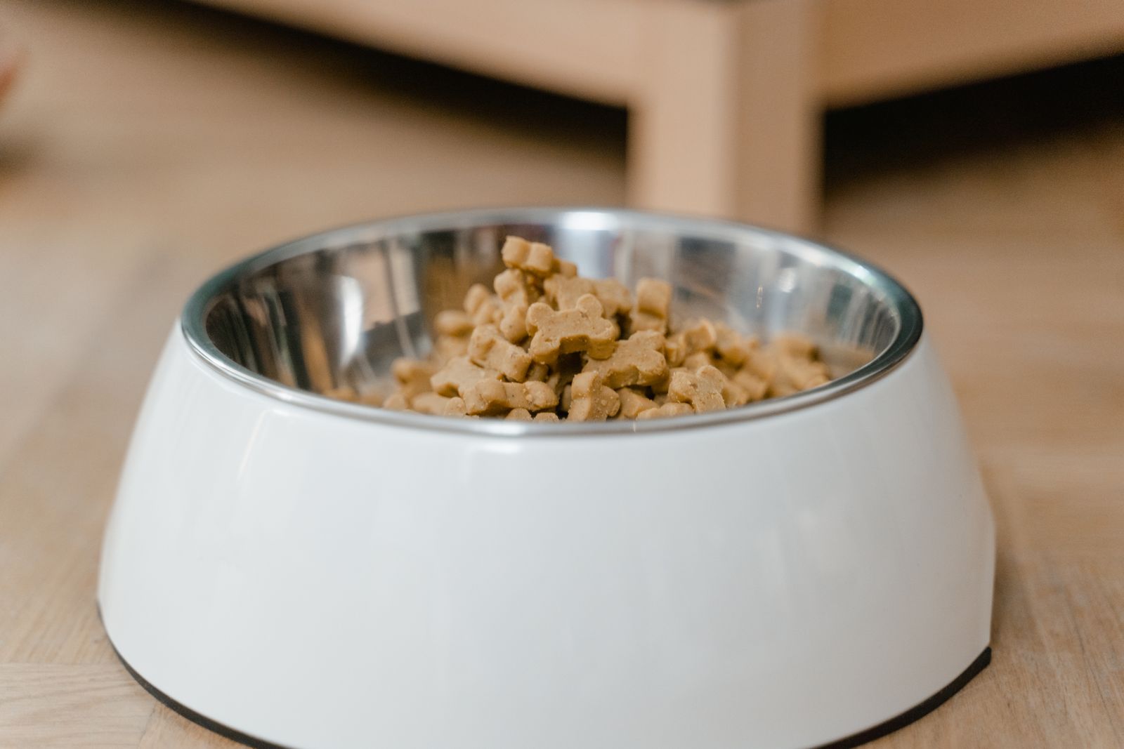 Stainless steel dog bowl filled with dry kibble on a wood floor
