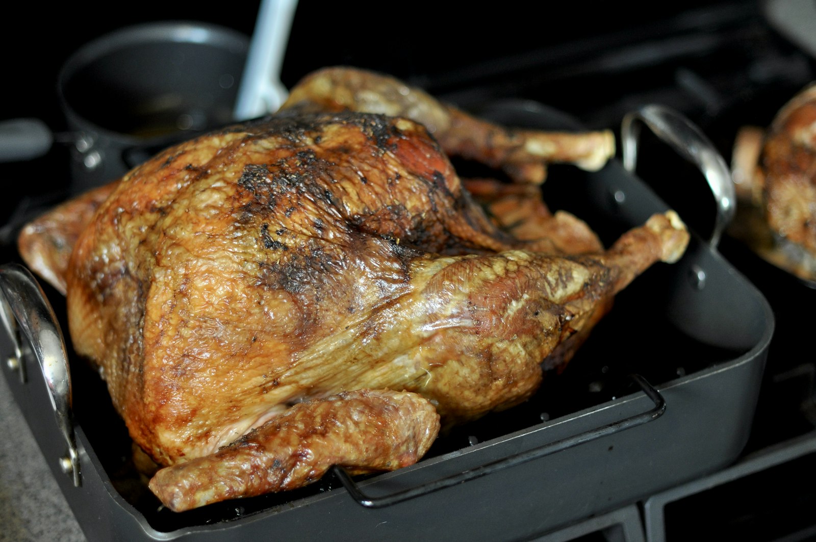 Best Roasting Pans for Thanksgiving Turkey