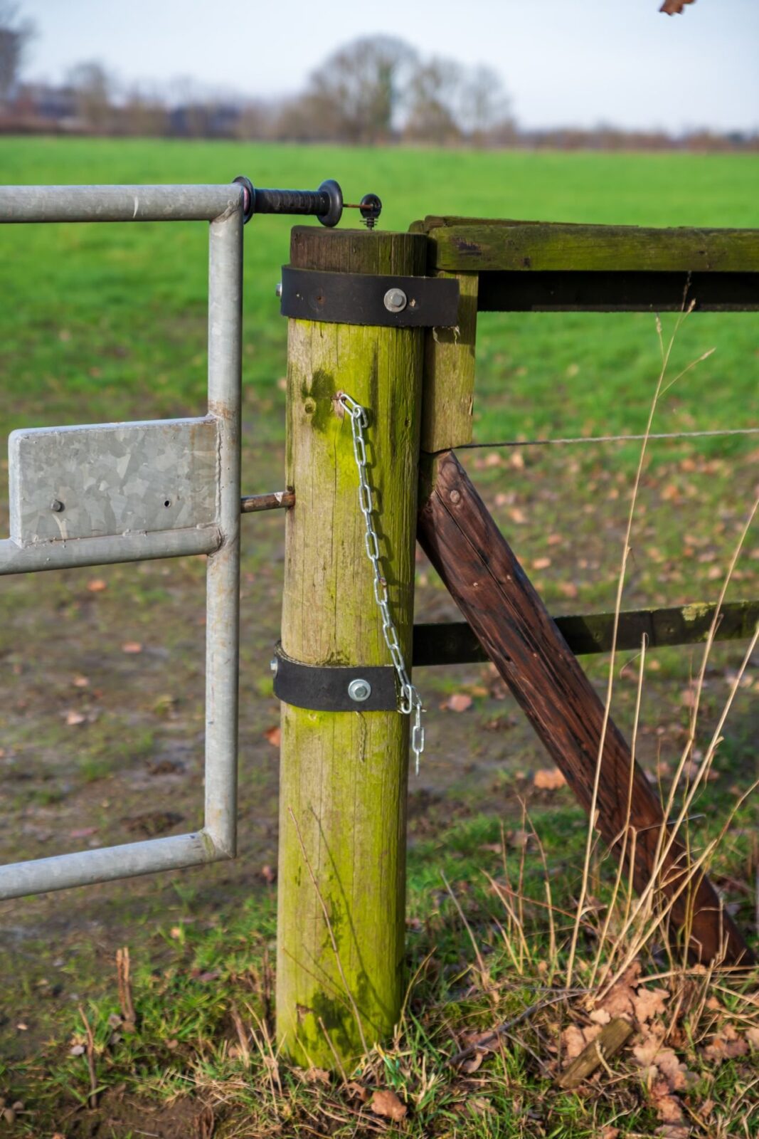 Metal farm gate chained to a wooden post in a field