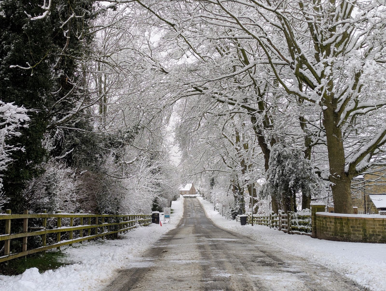 A snowy lane lined with frosted trees and a wooden rail fence