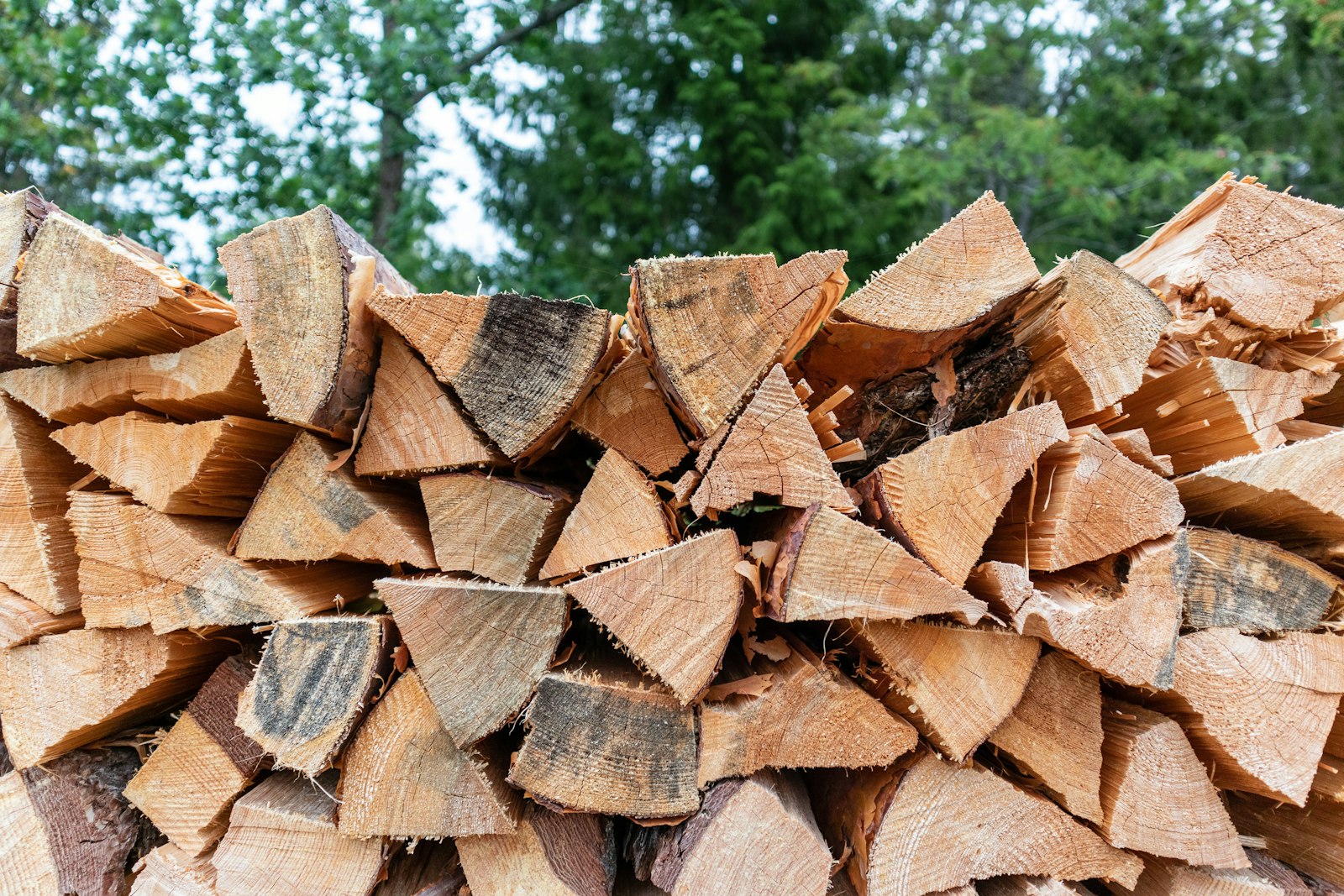 Neat stack of split firewood with trees blurred in the background