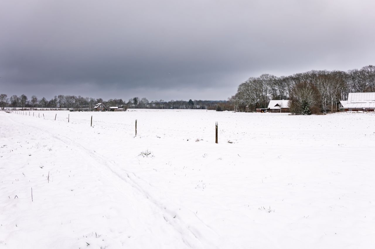 A snow-covered farm field with a fence line under a gray winter sky