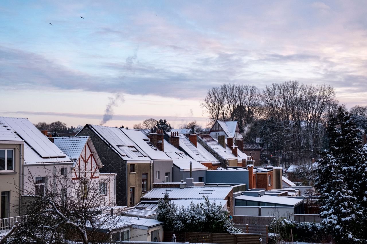Rows of snow-covered house roofs in a suburb under a pale dawn sky