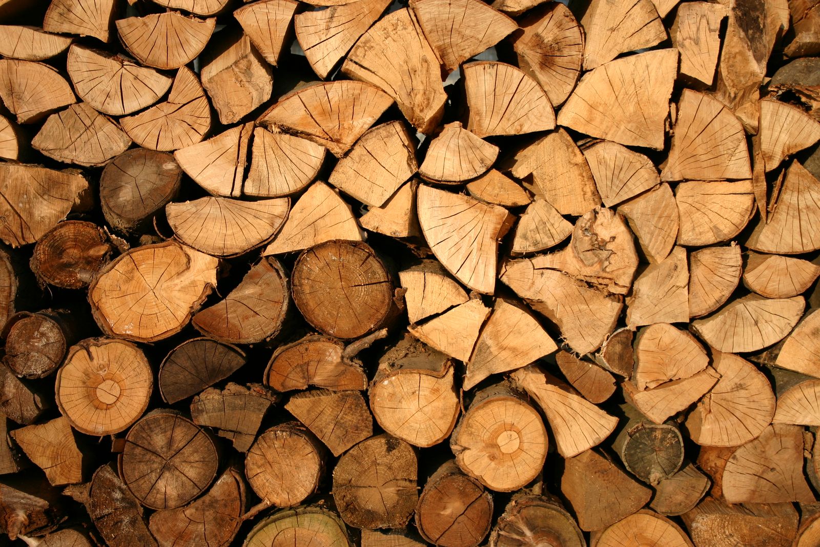 Cut ends of stacked split firewood with cracks running outward from the centers