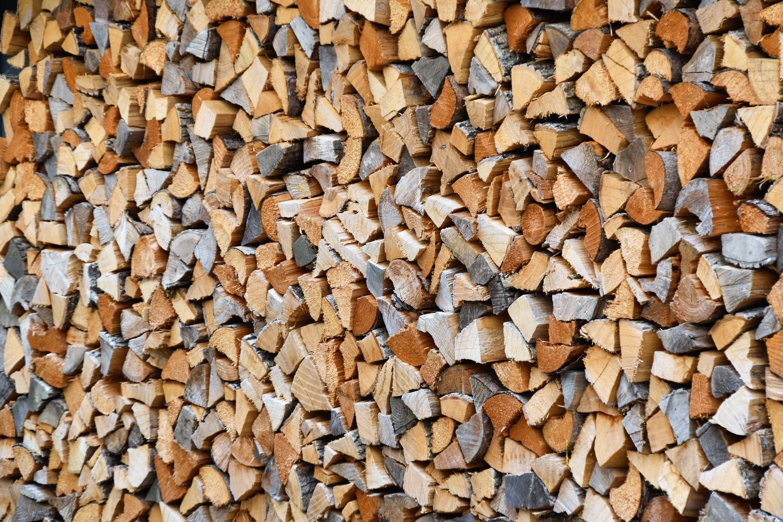 Best Firewood Racks for Outdoor Storage